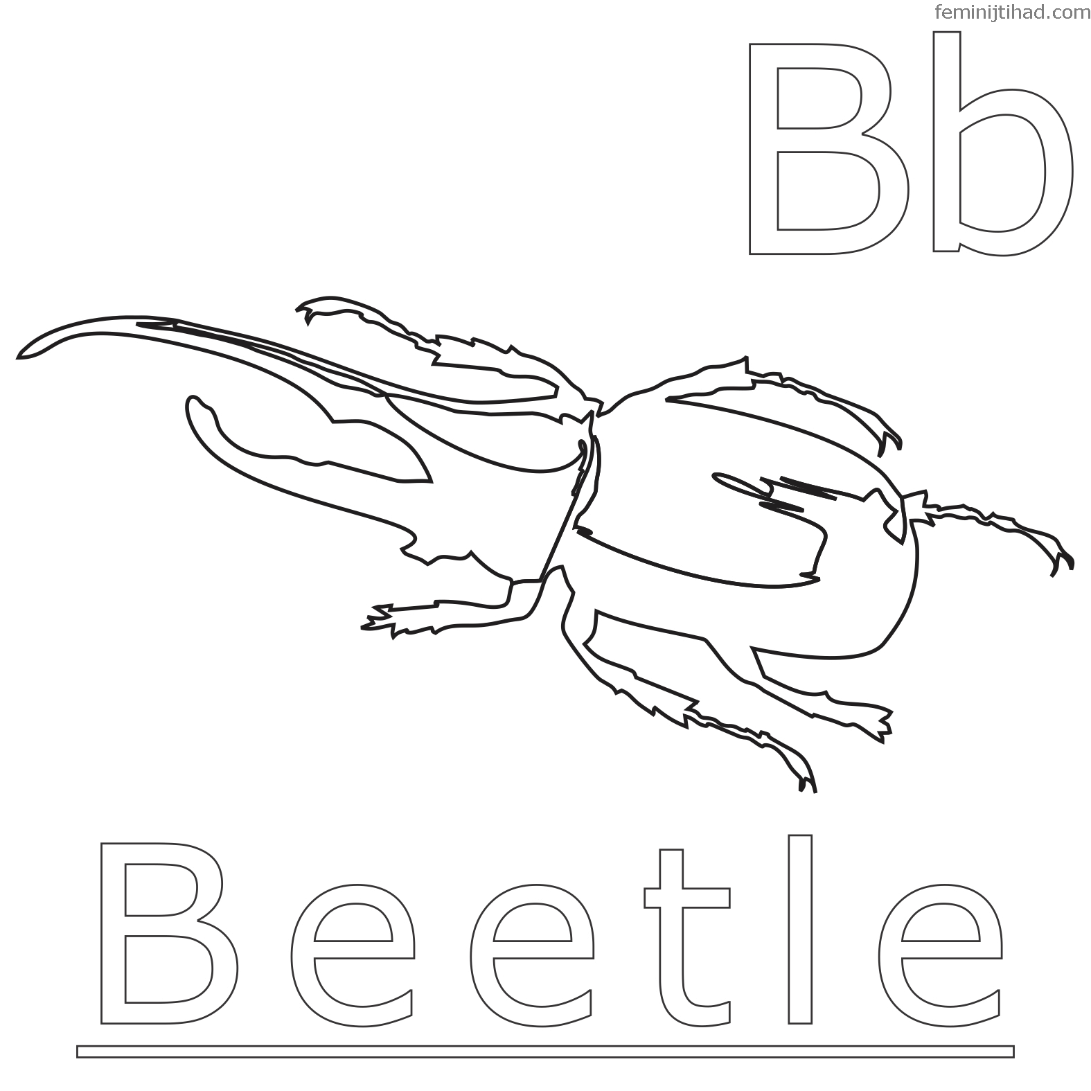 darkling beetle coloring page