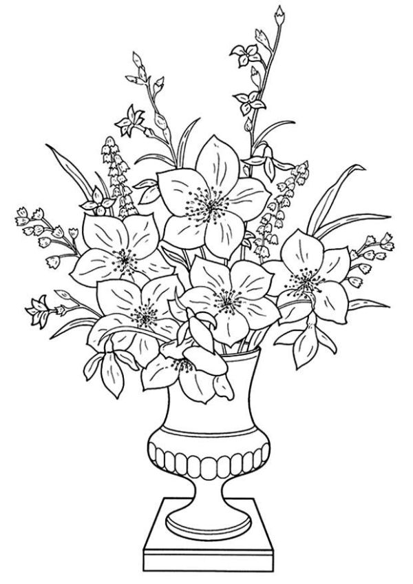 download lily flowers to color