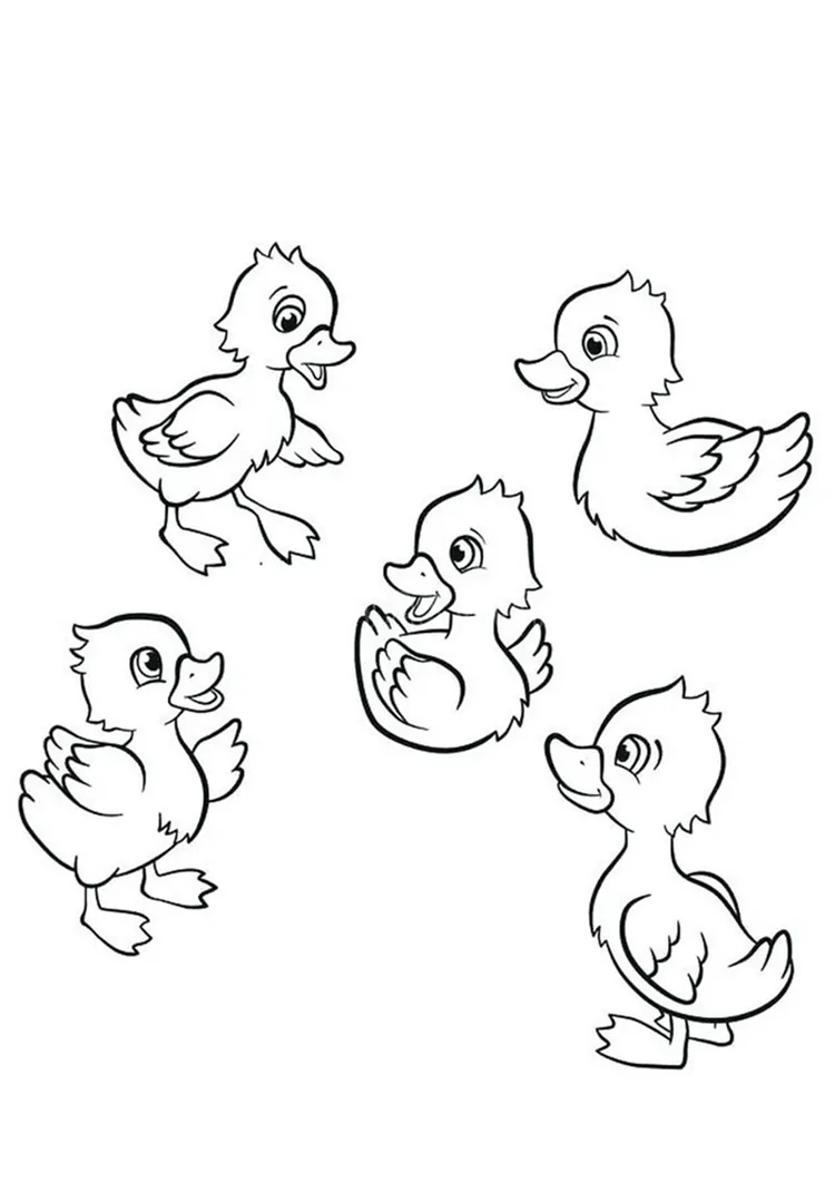 printable duck coloring pages