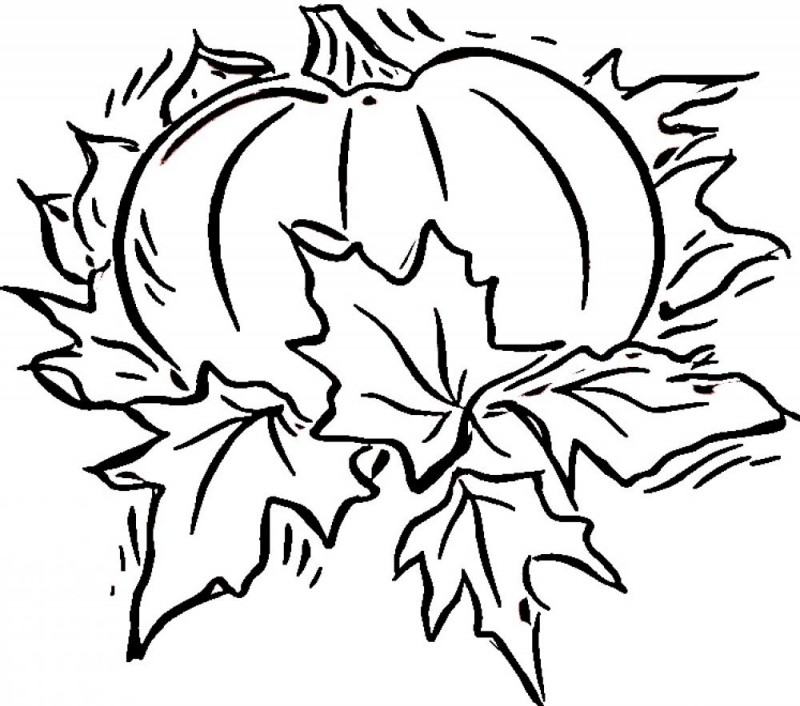 fall coloring pages for kindergarten