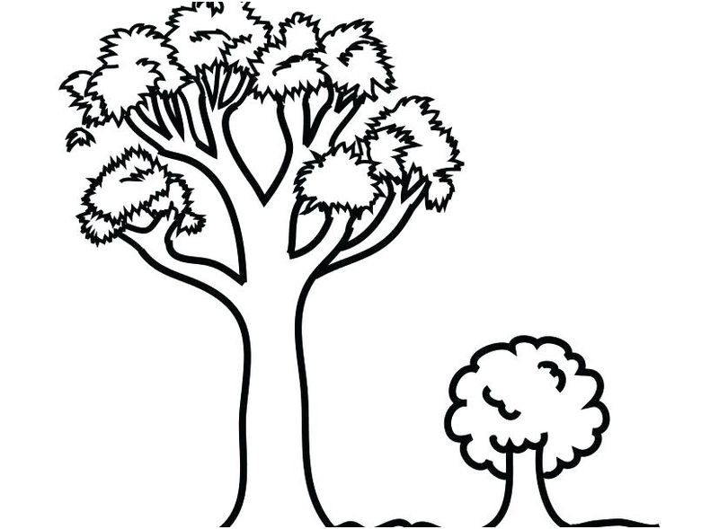 fall tree coloring pages printable