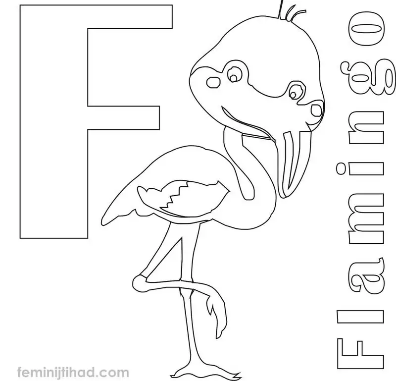 cartoon flamingo coloring pages