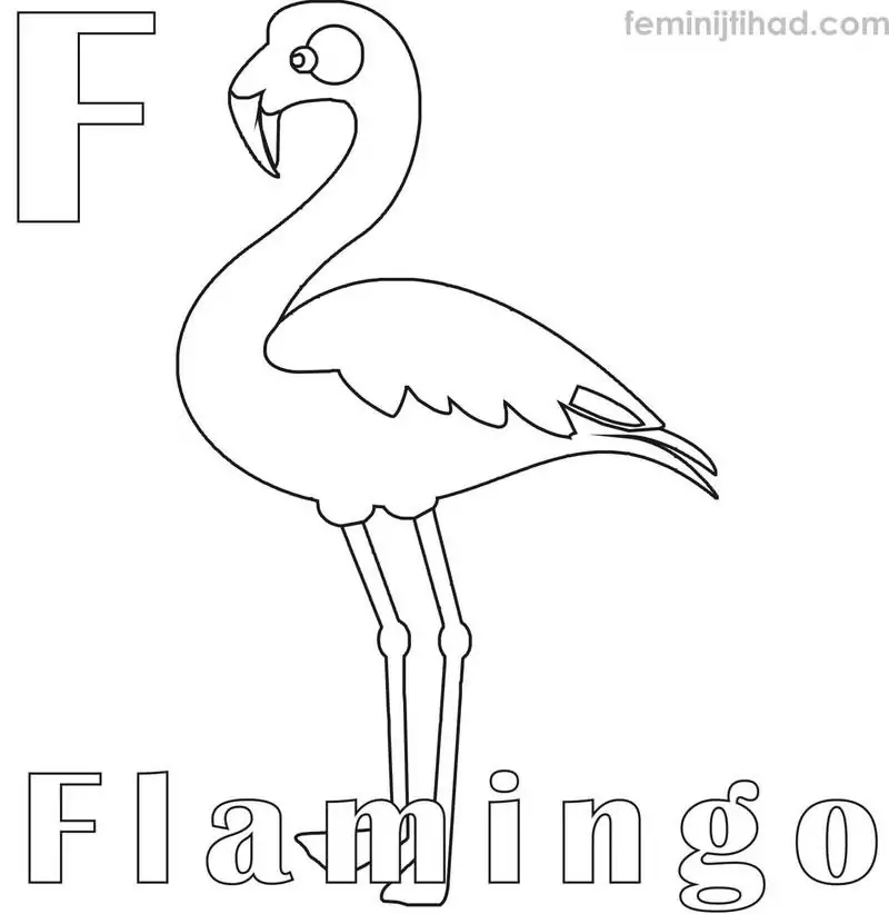 flamingo coloring page printable