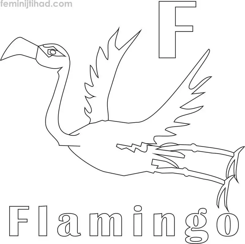 flamingo coloring pages free