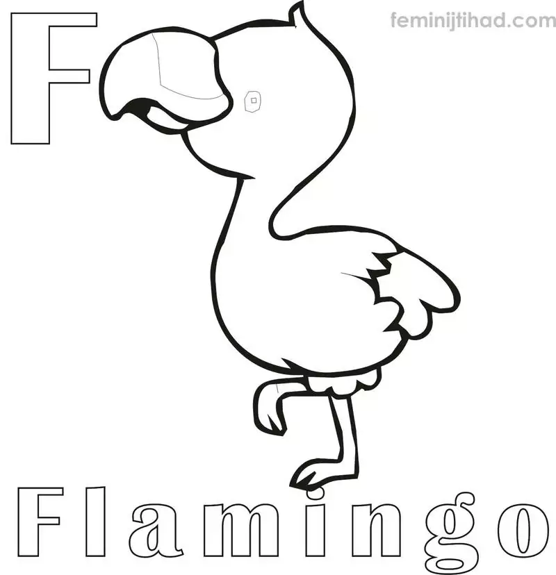 flamingo coloring pages printable