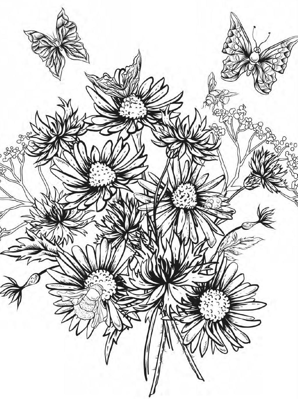 adult coloring pages floral