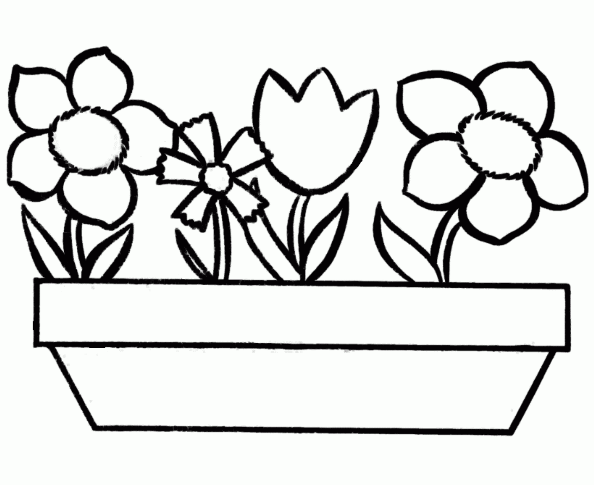 free 8 x 10 spring flower coloring pages for kids