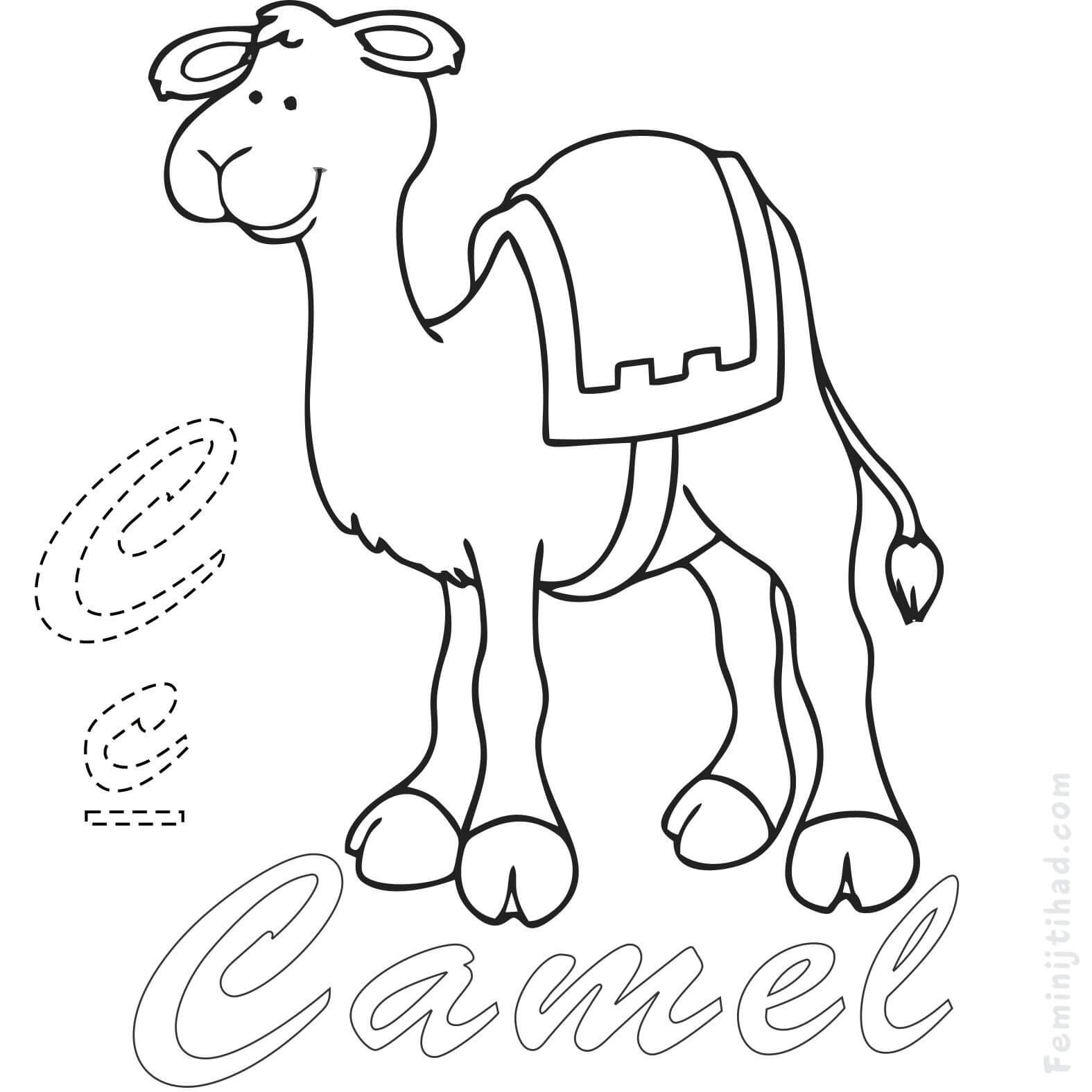 free camel coloring page