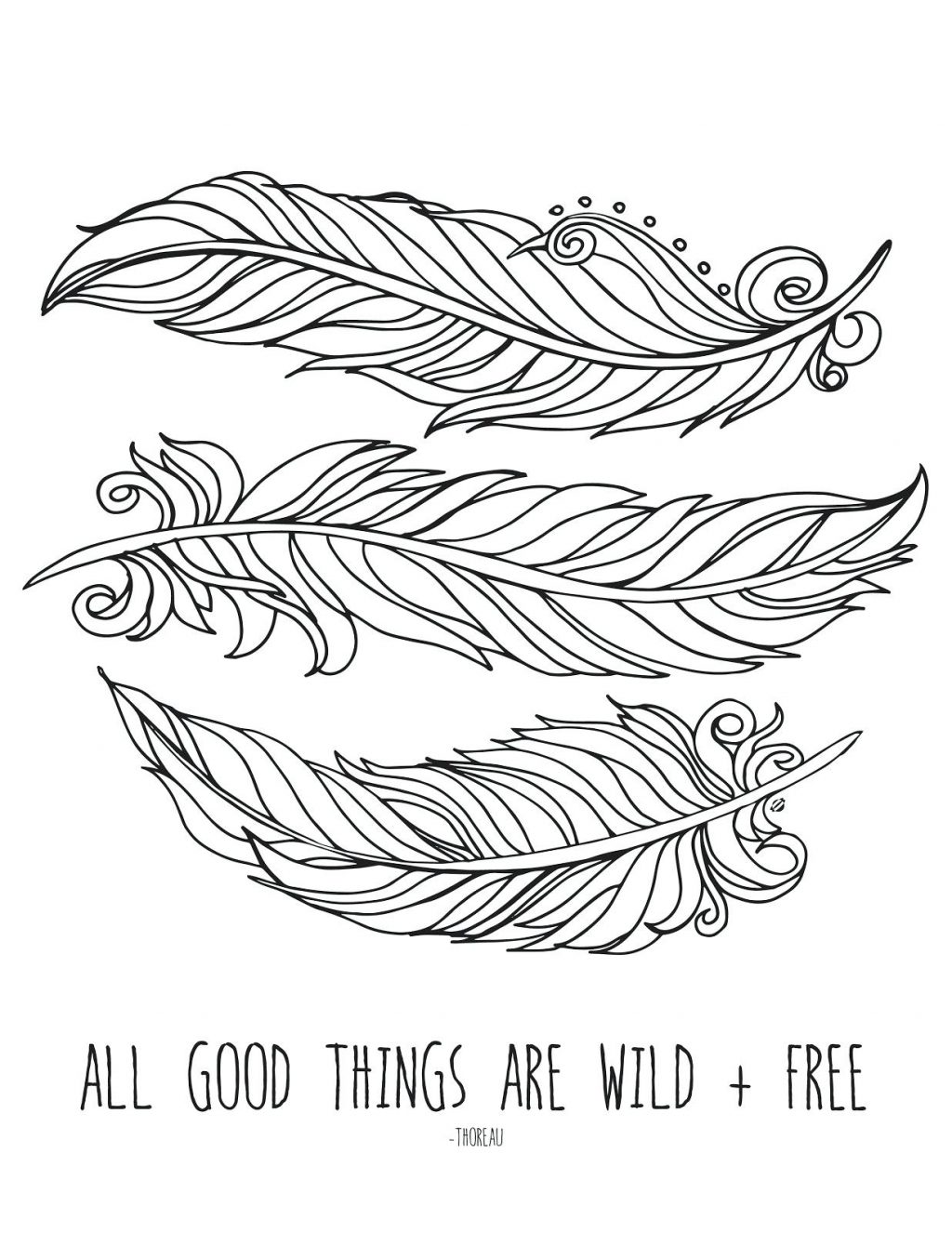 feather coloring pages