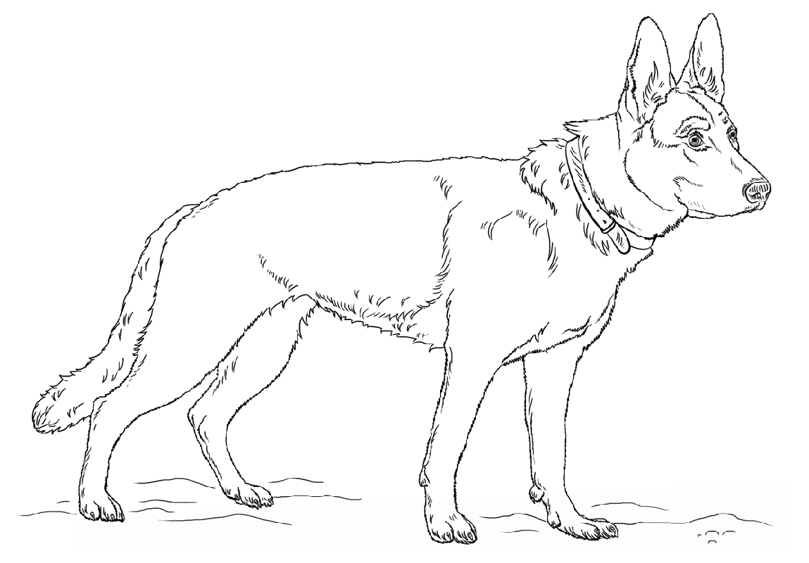 german shepherd coloring pages printable