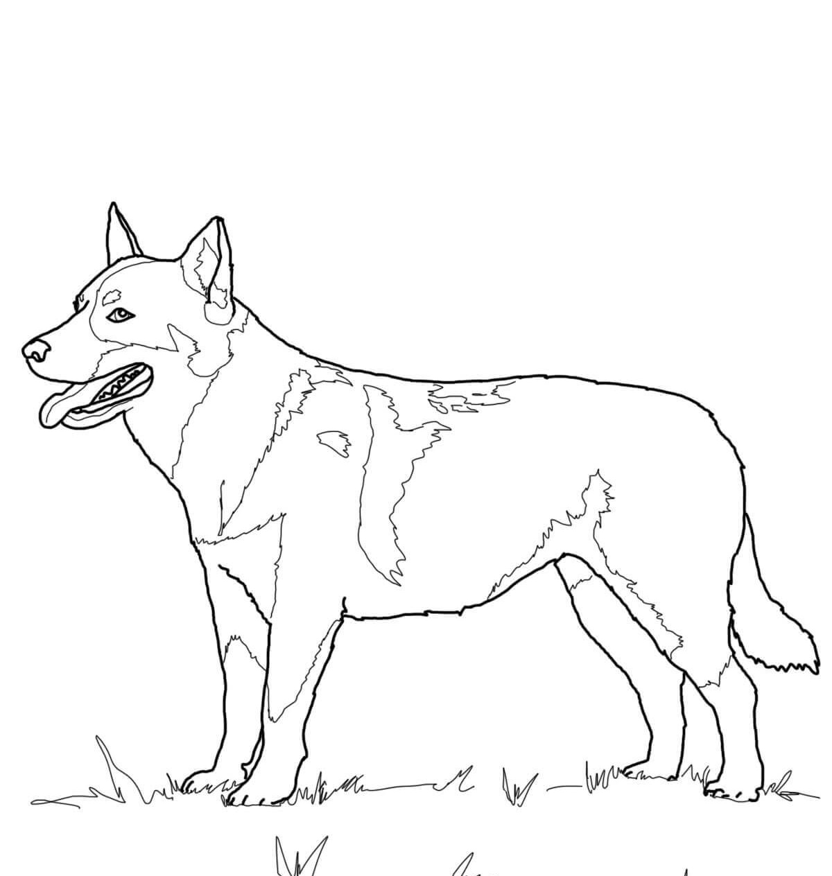 printable german shepherd coloring pages