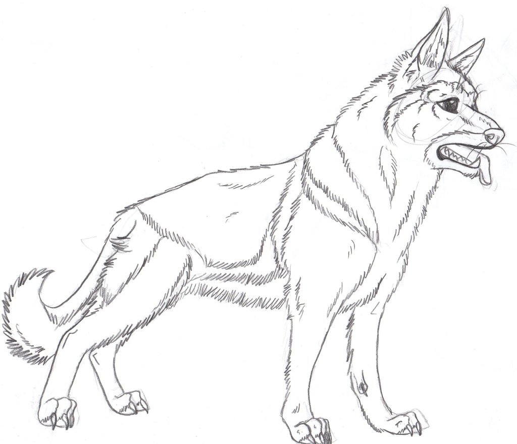 realistic german shepherd coloring pages