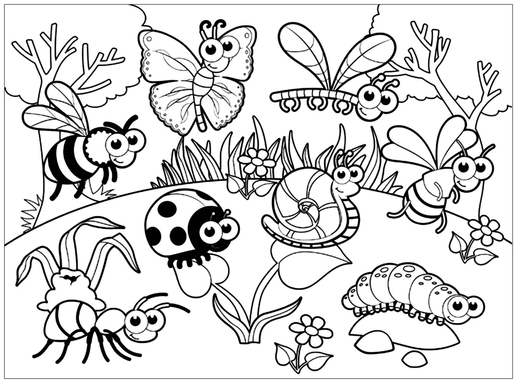 bug and insect coloring pages