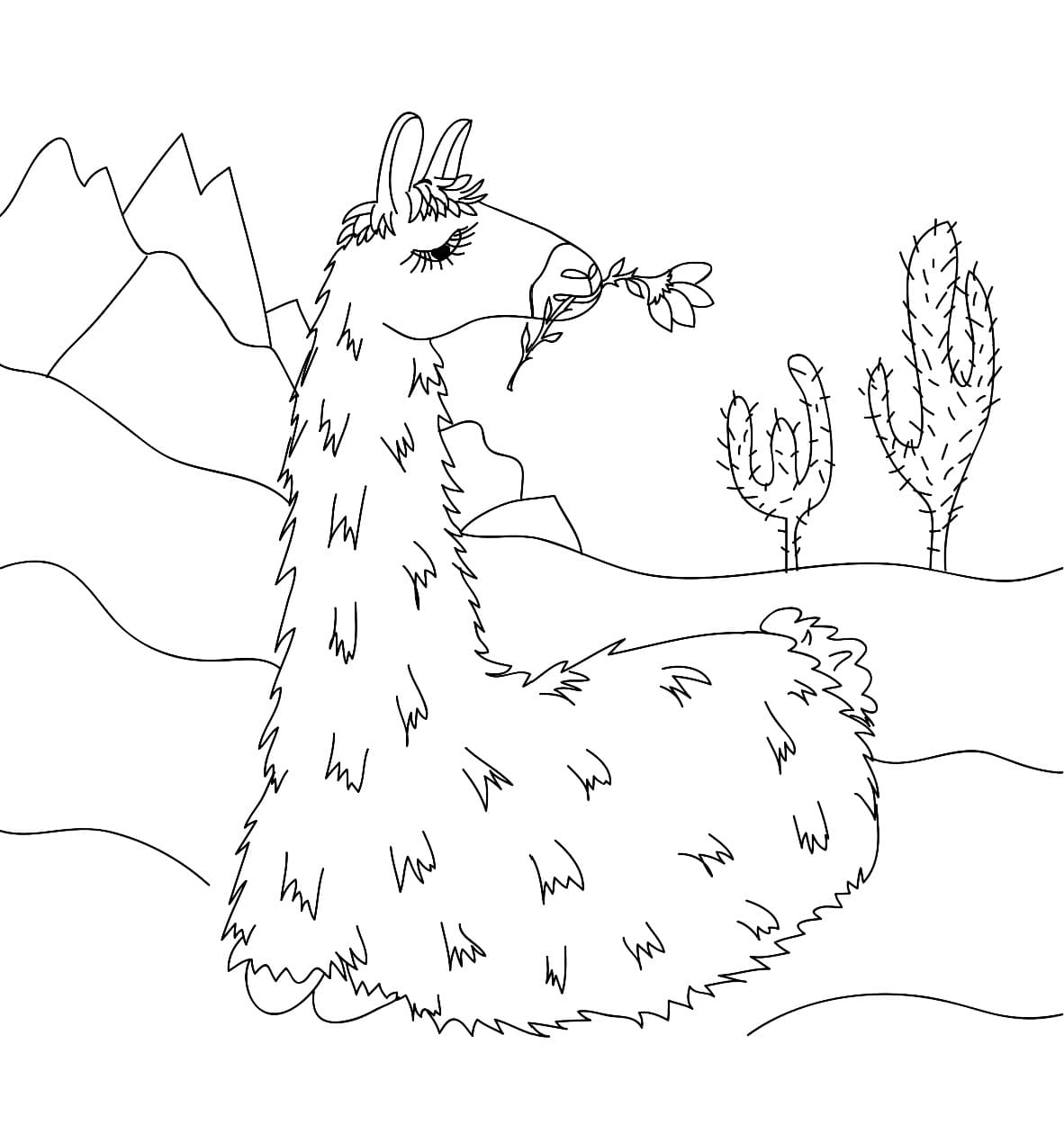 llama coloring pages printable