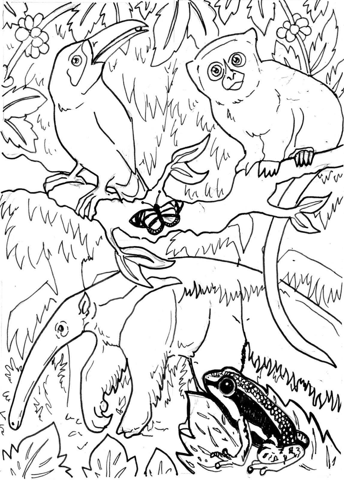 rainforest animals coloring pages