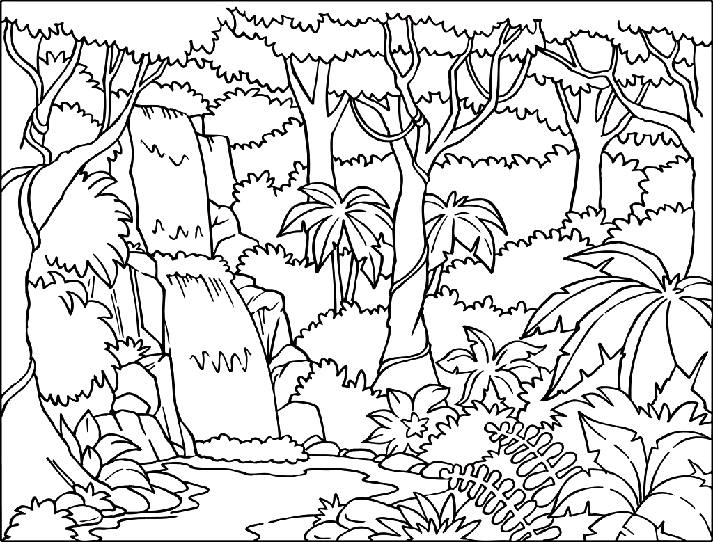 rainforest coloring pages