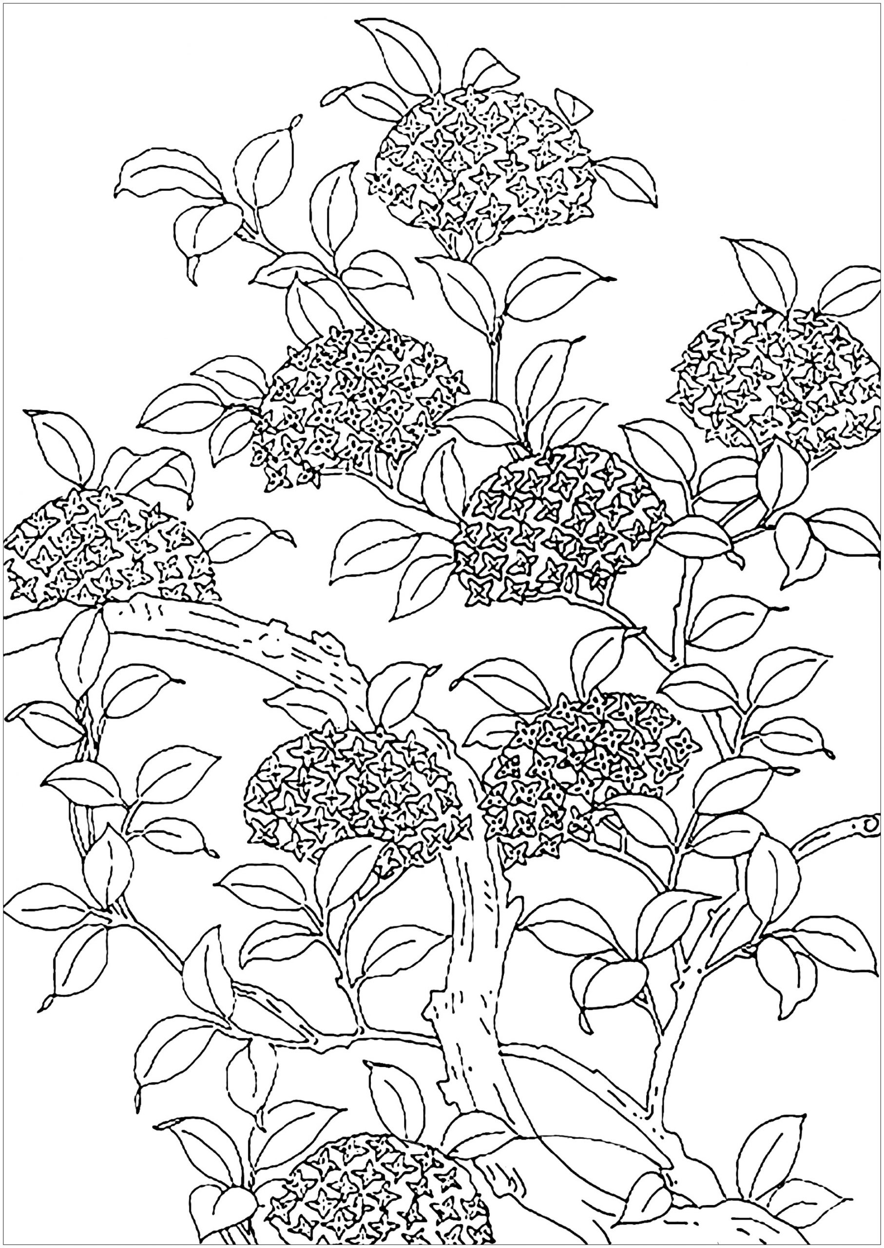 relaxing coloring pages