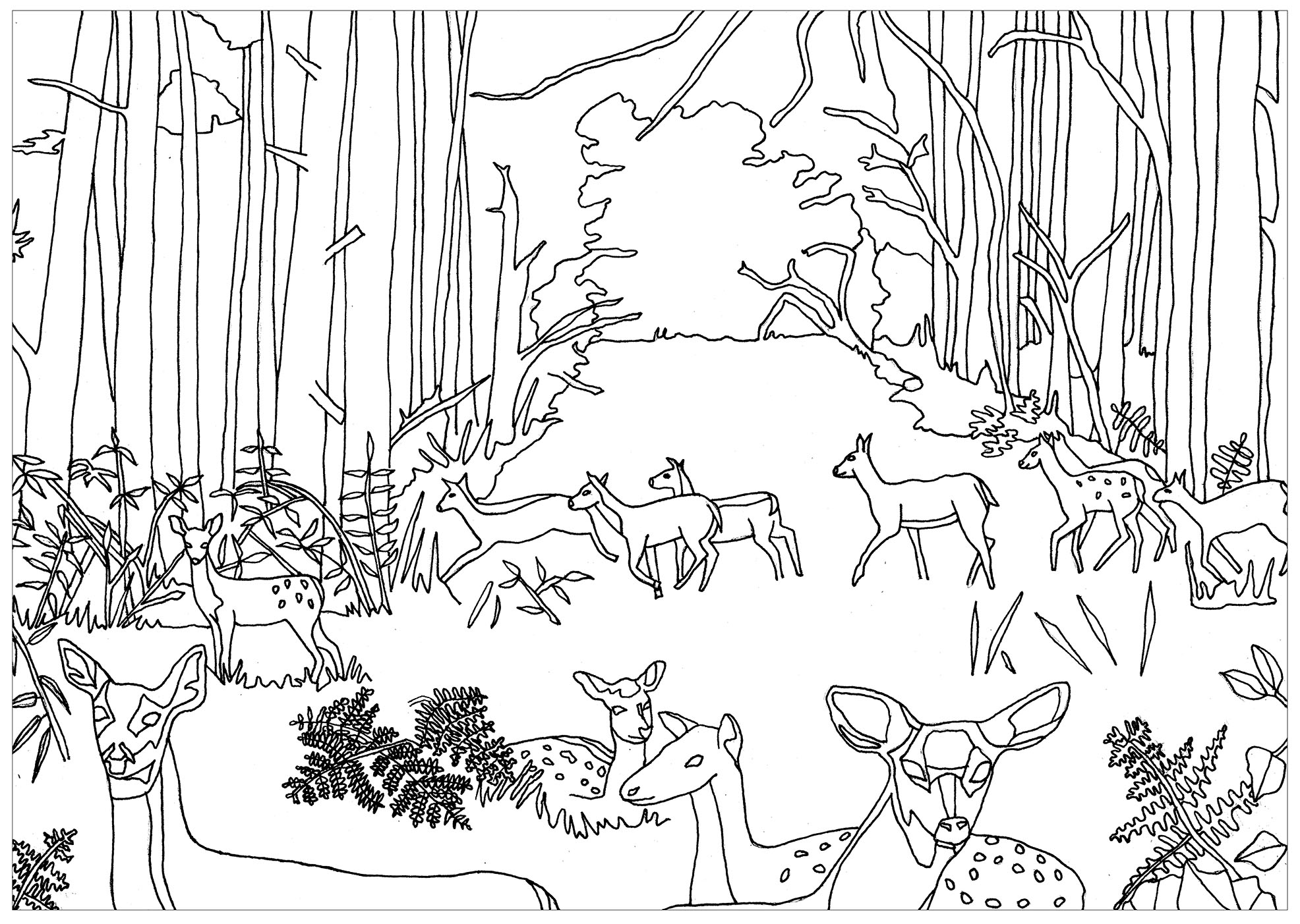 forest animal coloring pages