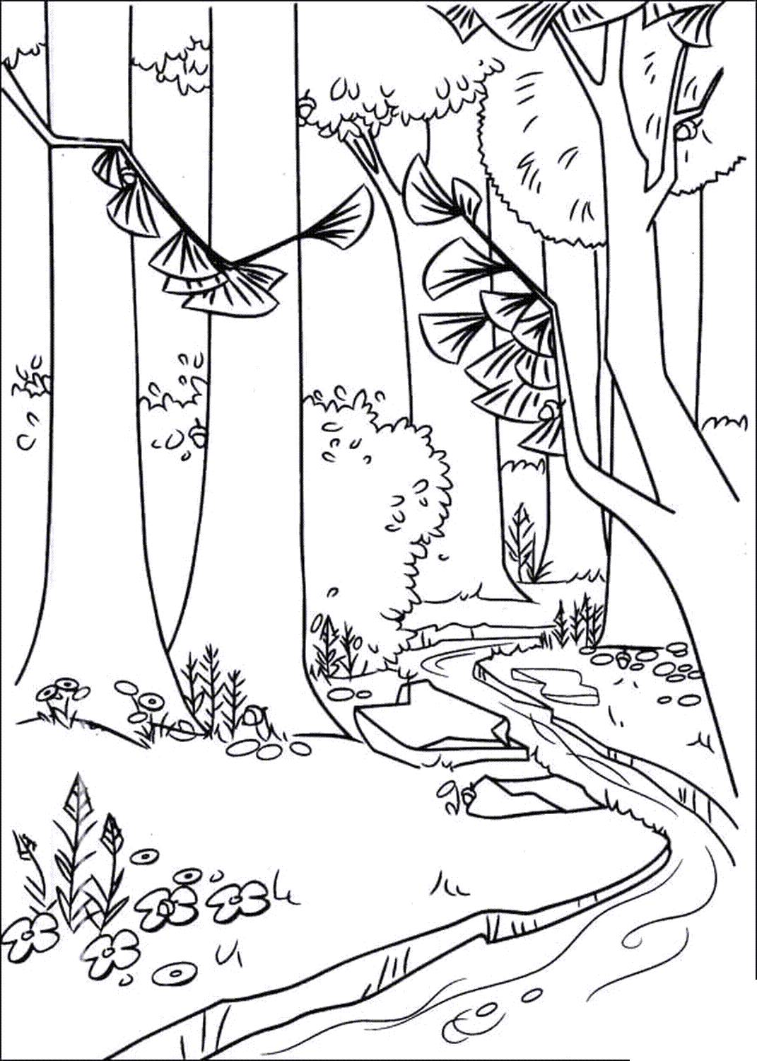 rain forest coloring pages