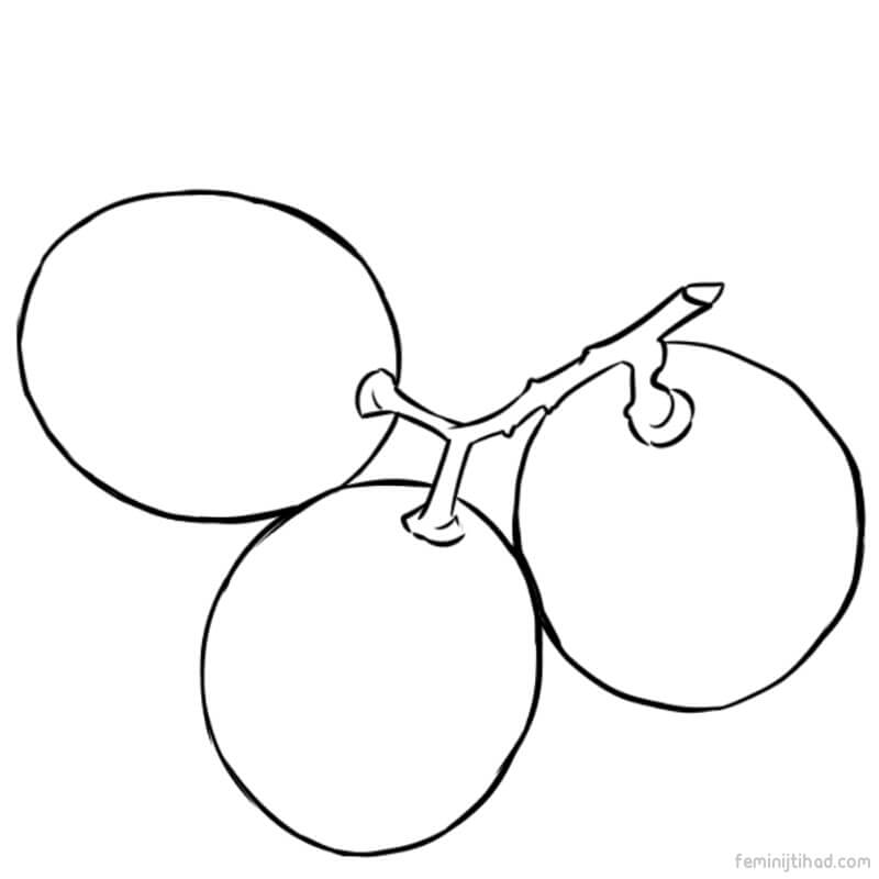 grape coloring page