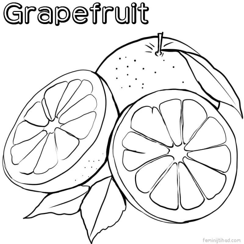 grapefruit coloring images