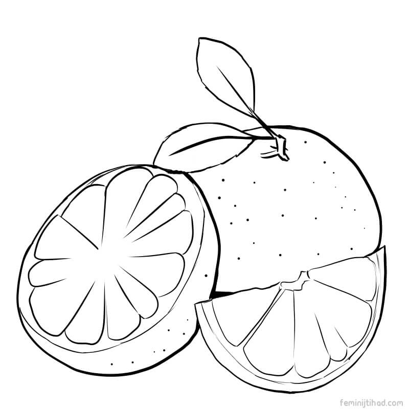 grapefruit coloring pages