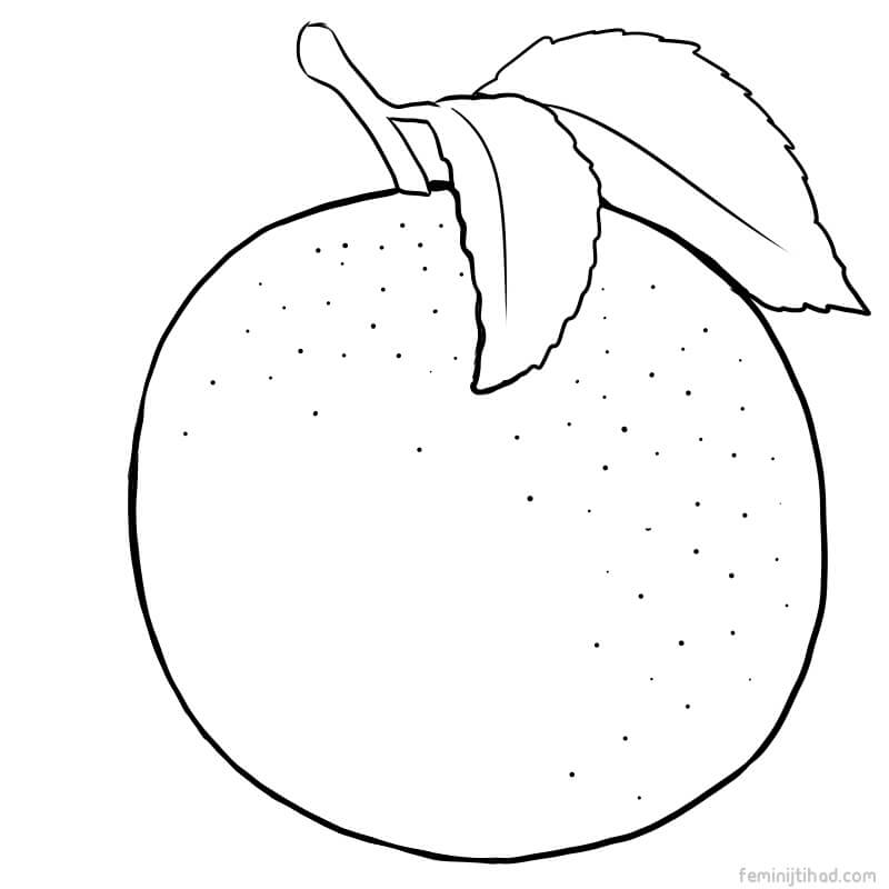 grapefruit coloring picture