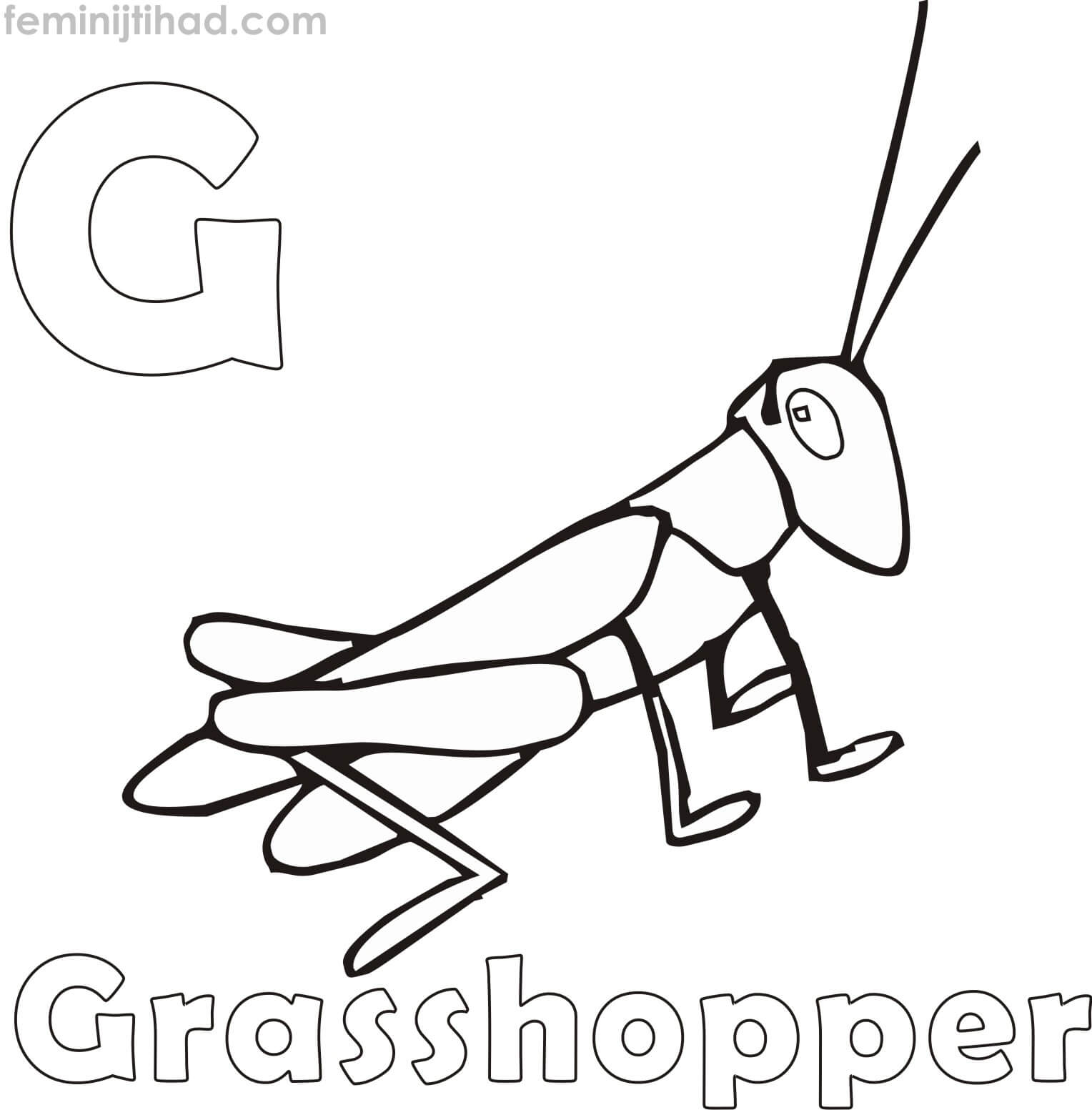 grasshopper coloring pages printable