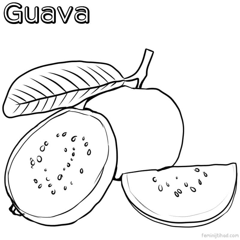 guava coloring page