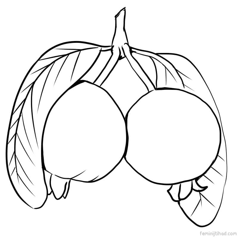 guava coloring sheet