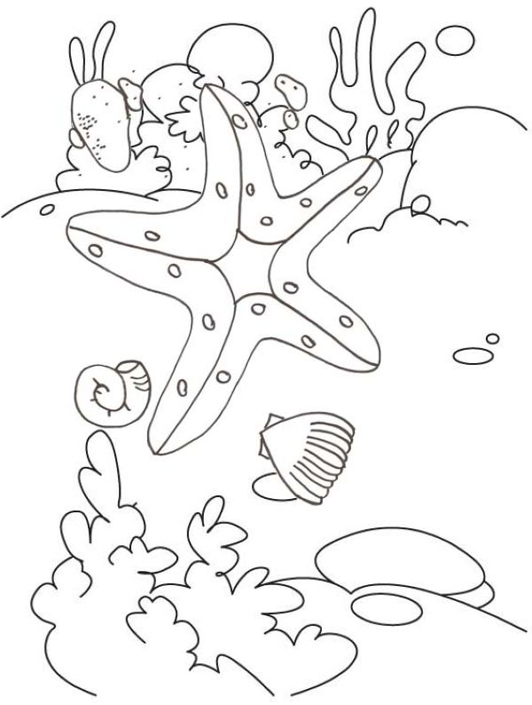 happy starfish coloring page