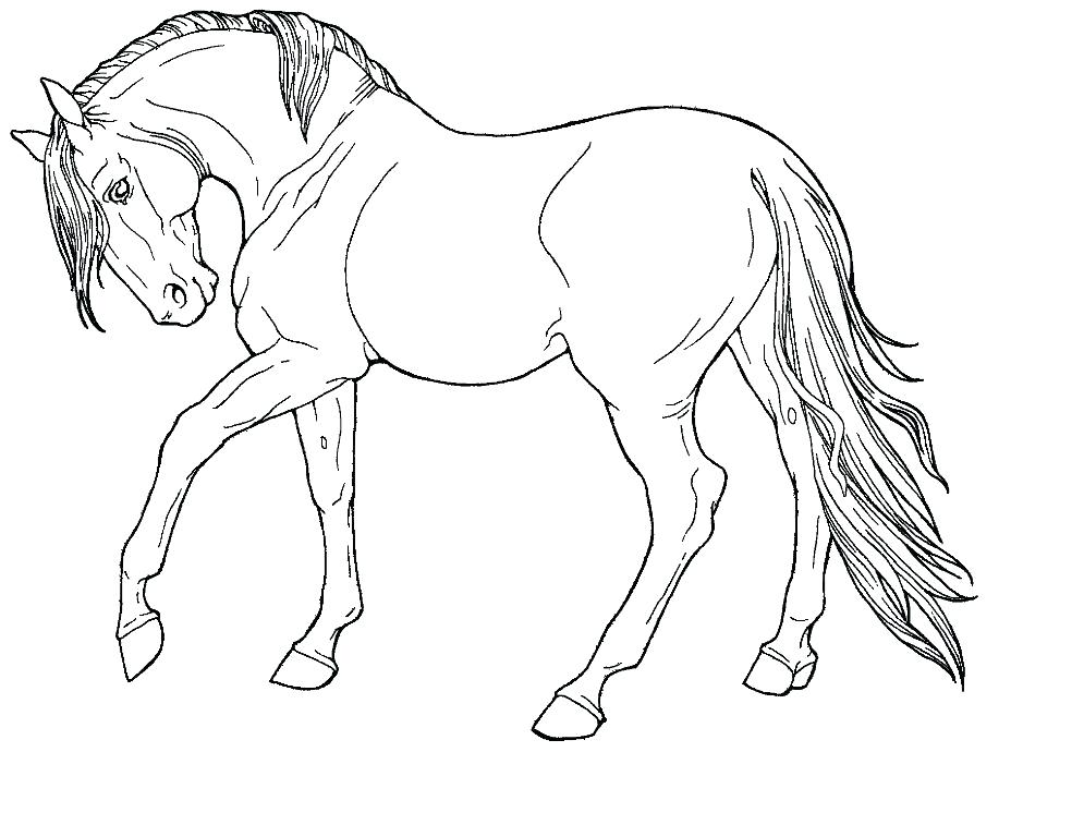 horse coloring pages pdf