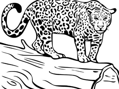 coloring pages jaguar