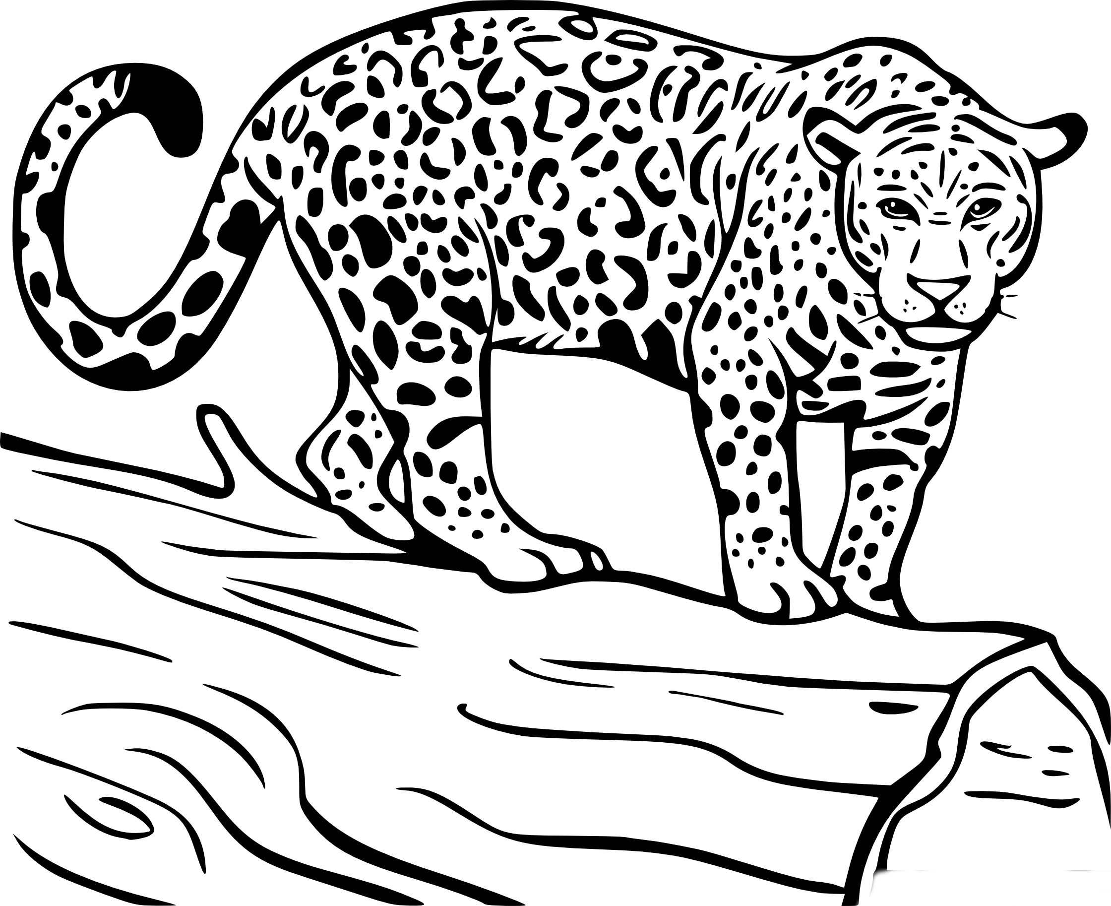 coloring pages jaguar