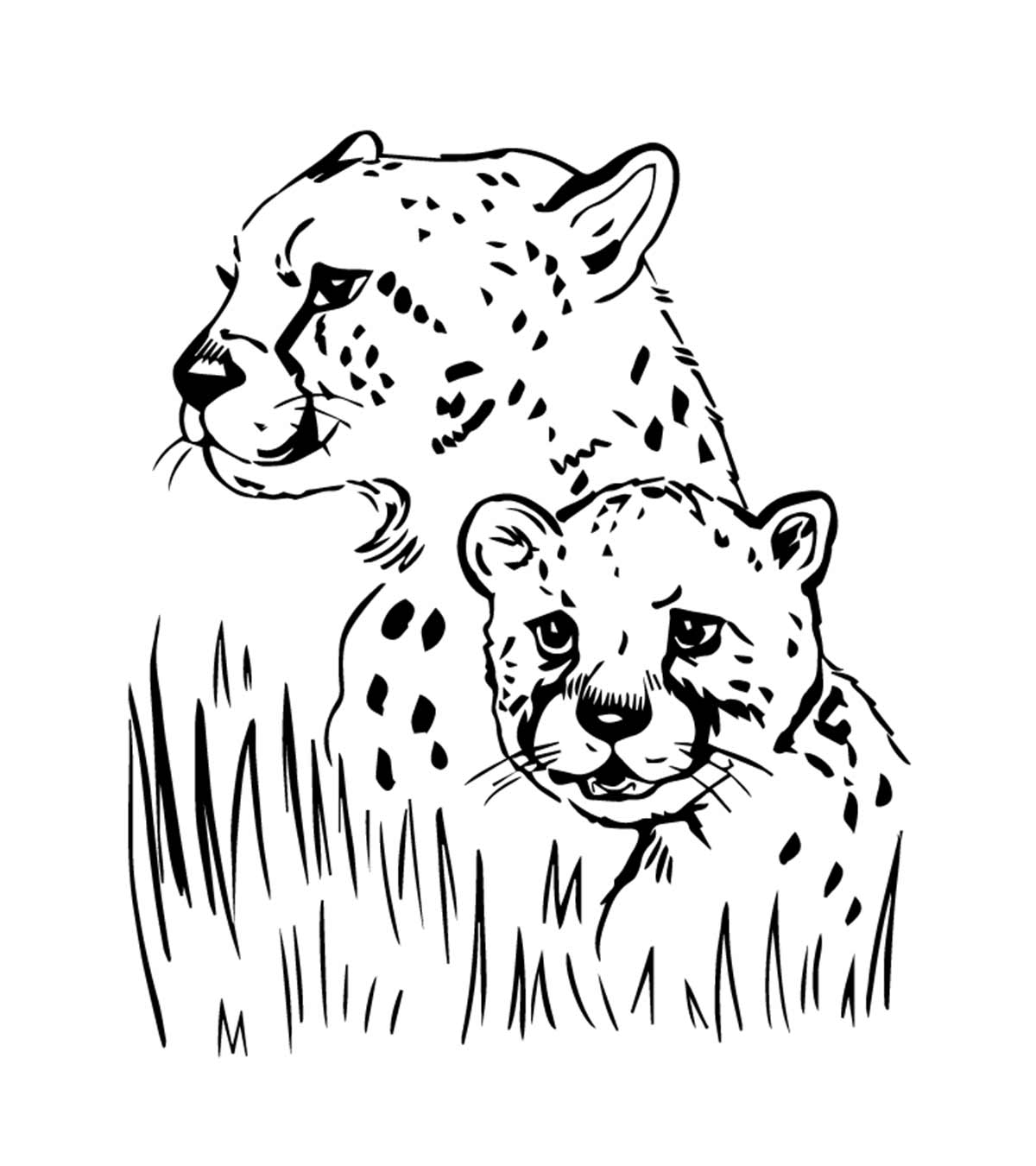 jaguar coloring pages