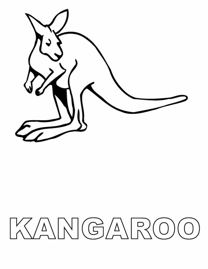 imageas of kangaroo coloring page