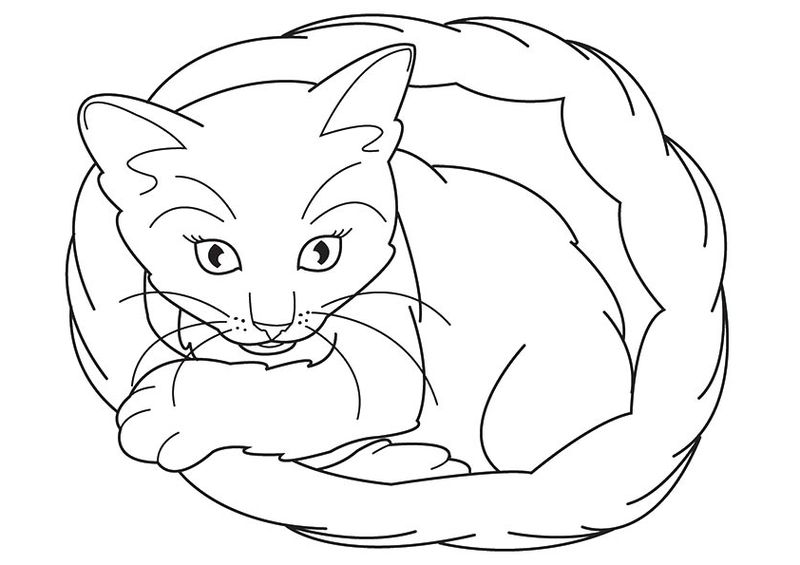 kitten coloring page