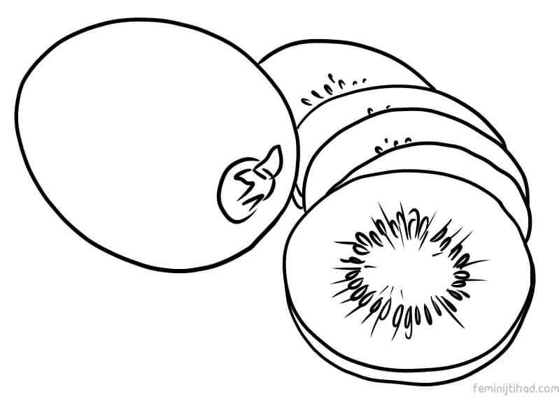 kiwi coloring image kiwi coloring image