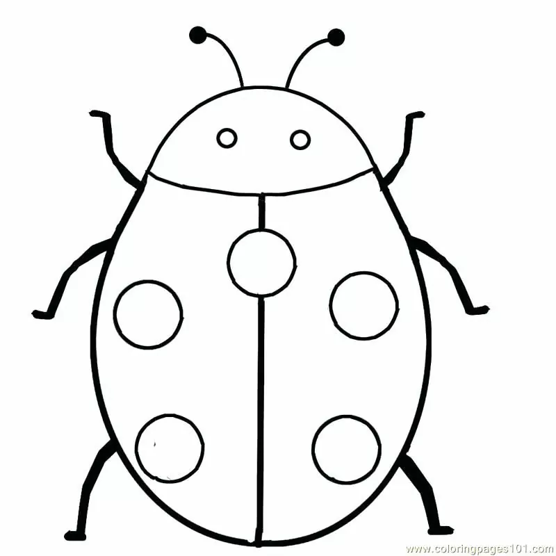 coloring page ladybug