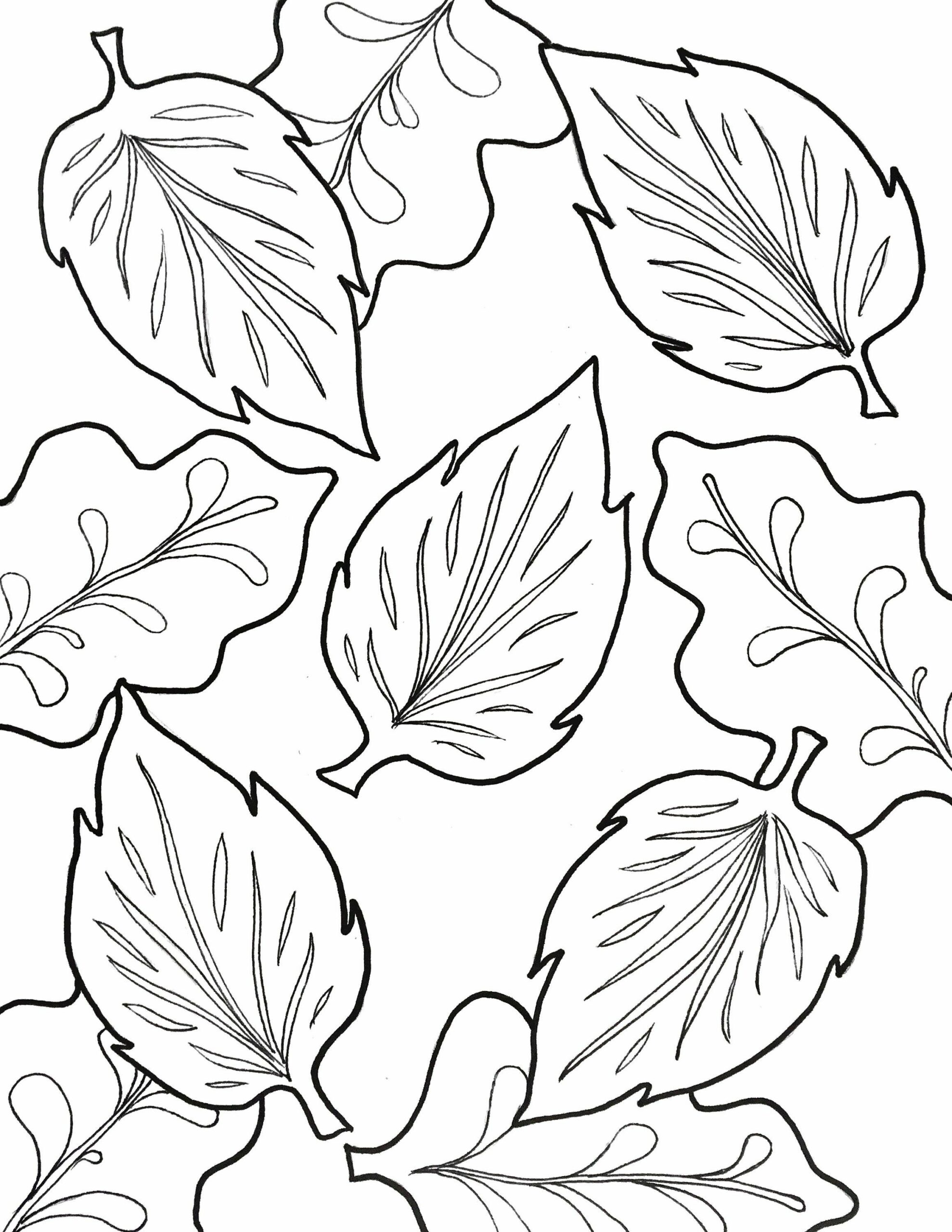 jungle leaves coloring pages