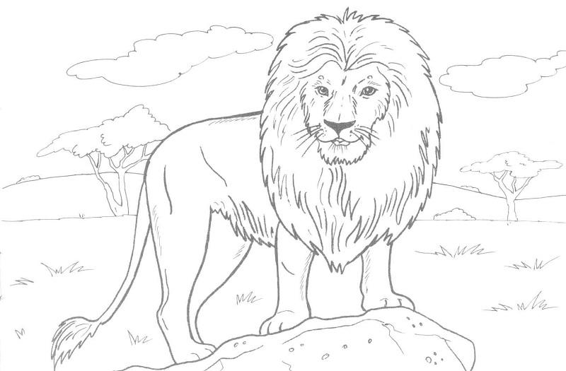 lion coloring pages printable