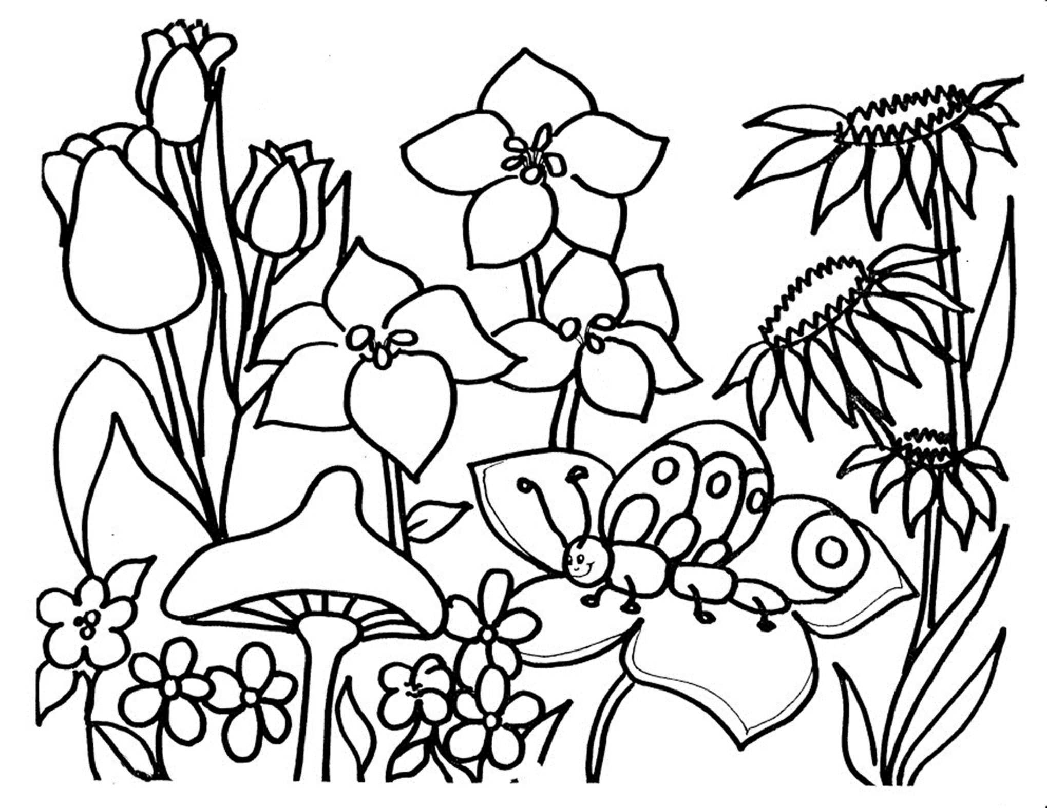 nature coloring pages