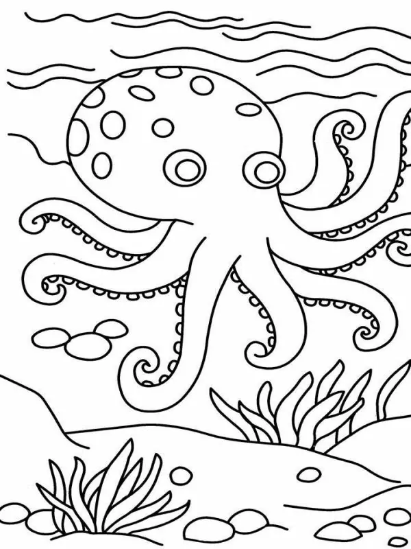 free octopus coloring pages