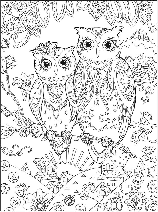 owl coloring pages for adults