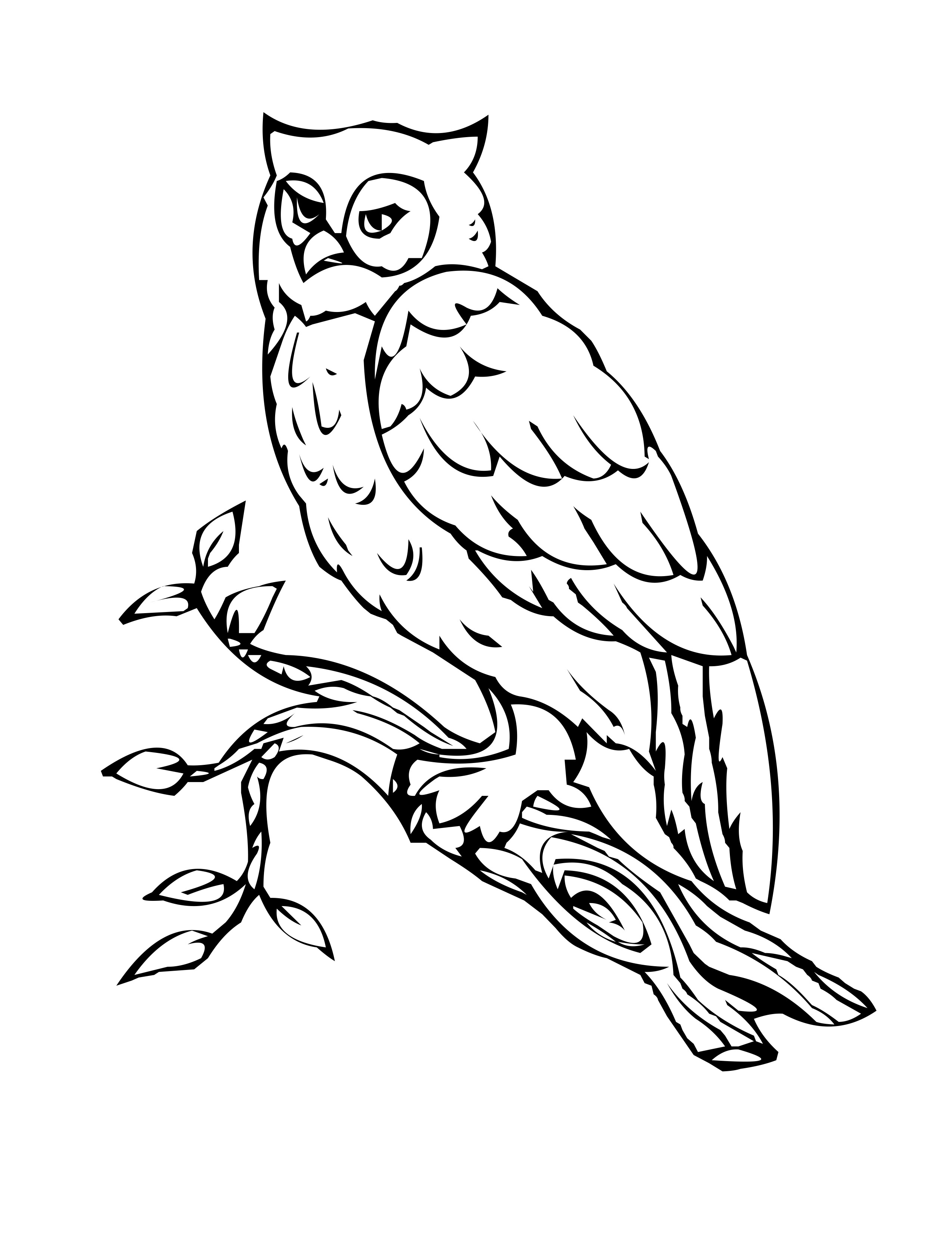 owl coloring pages printable