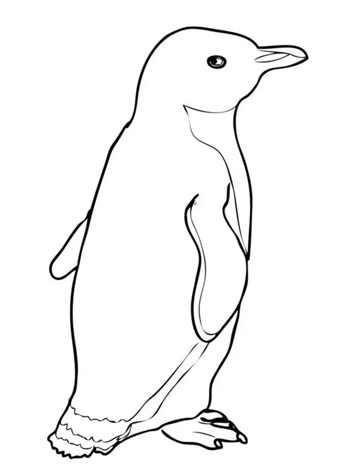 penguin coloring pages free download