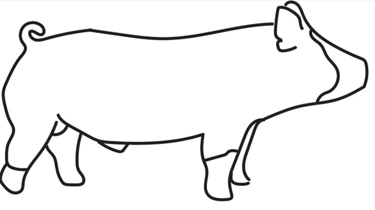 pig coloring pages for kindergarten