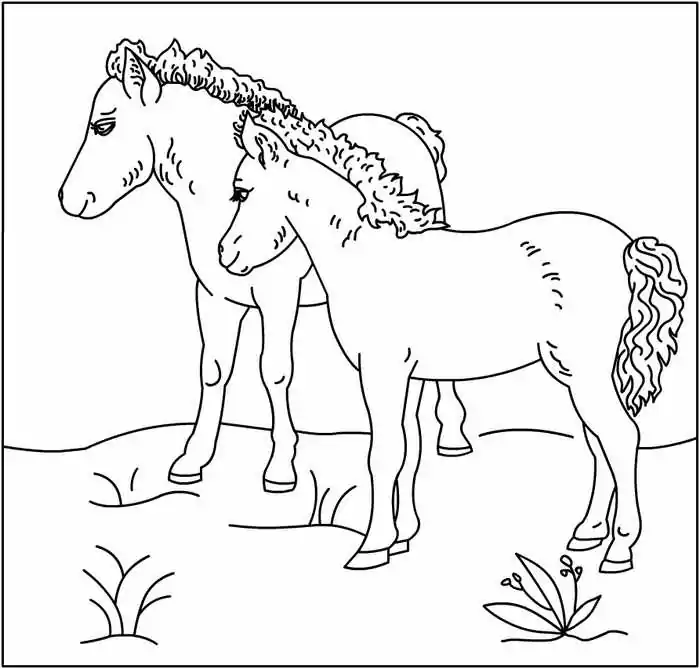 pony coloring page printable