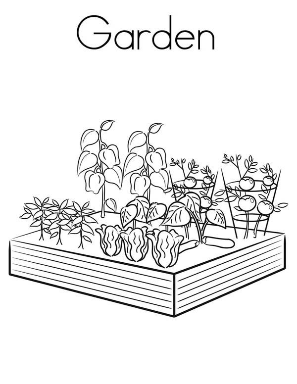 vegetable garden coloring pages