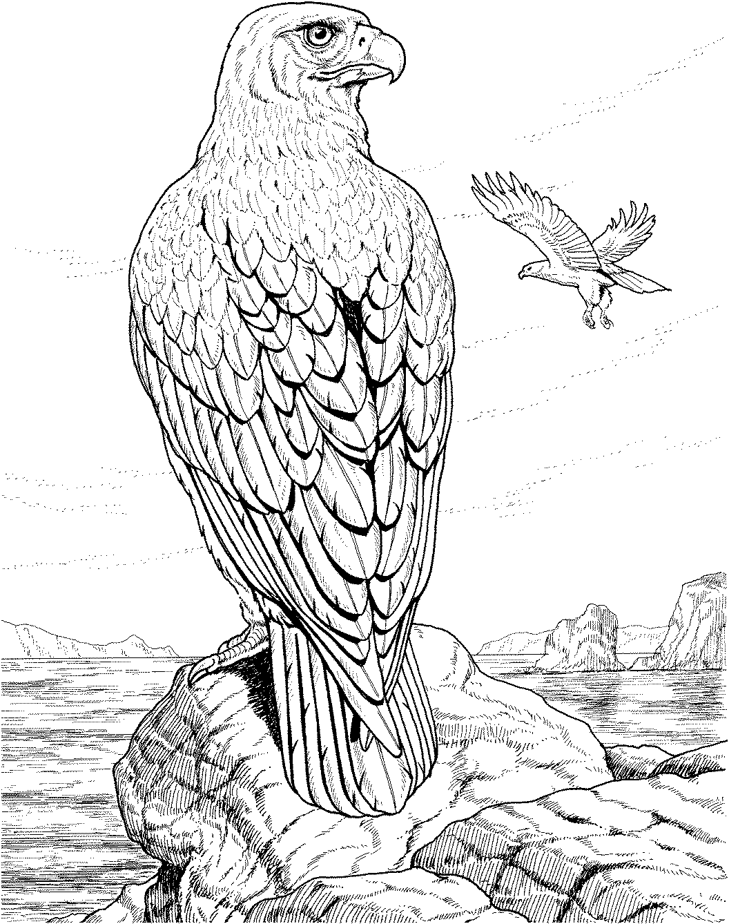 detailed coloring pages